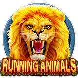RTP CQ9 evorabid77